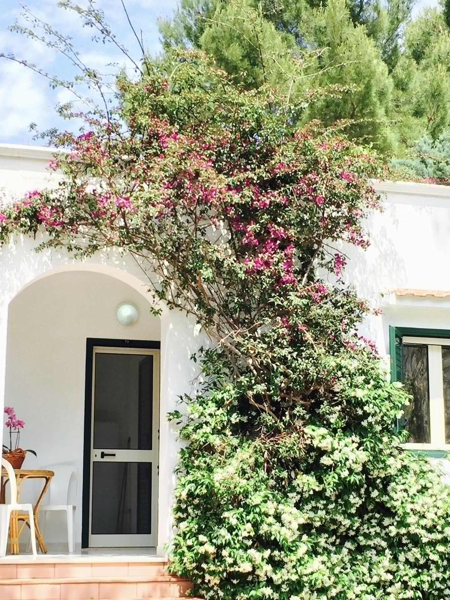 Villaggio Club Baia Di Paradiso Vieste Exterior photo